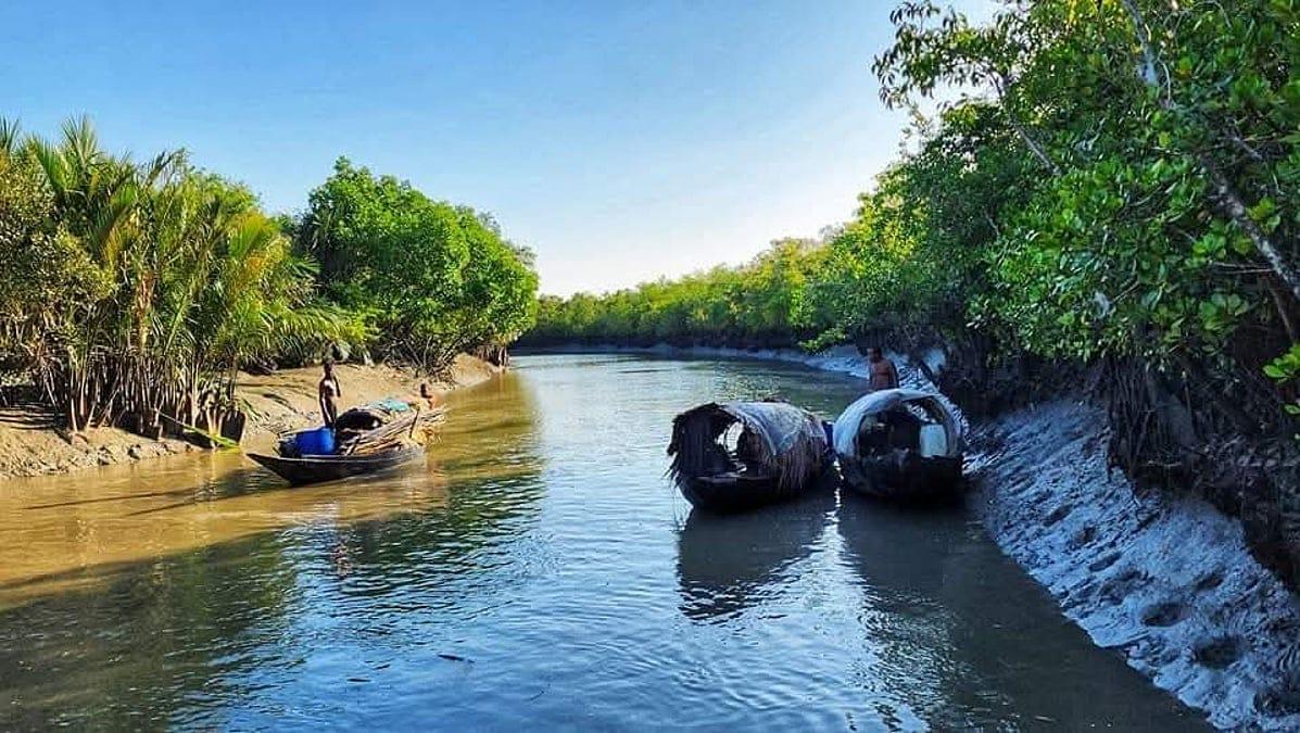 তিন মাস পর ১ সেপ্টেম্বর খুলছে প্রাণবন্ত সুন্দরবন - Chief TV