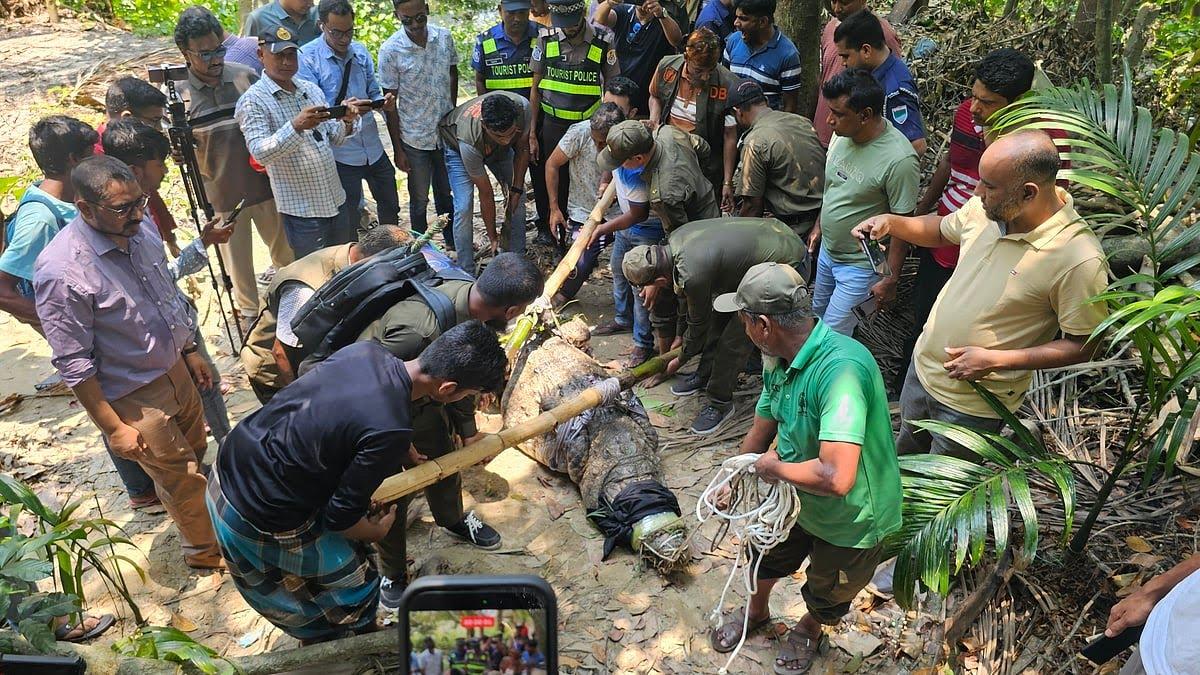 খানজাহান আলী মাজারের শেষ কুমির অপসারণ, জননিরাপত্তায় সিদ্ধান্ত - Chief TV