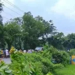 অটোরিকশা-কাভার্ডভ্যান সংঘর্ষে প্রাণ গেল তিনজনের - Chief TV