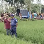 মাছ ধরতে গিয়ে নিখোঁজ রুবেল, ধানক্ষেতে মিলল মরদেহ - Chief TV