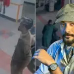 রাত আড়াই টায় বাসায় ঢুকেছিলেন দীপ, চাঞ্চল্যকর তথ্য দিলেন দারোয়ান - Chief TV