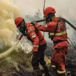 ইন্দোনেশিয়ায় দাবানলের ধোঁয়ায় ৩ হাজার ৫৬০ জনের মৃত্যু - Chief TV