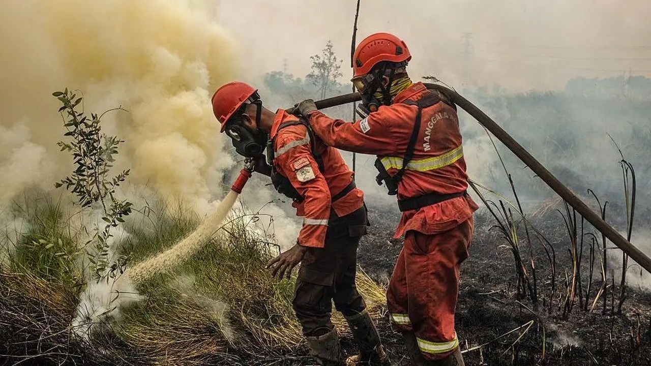 ইন্দোনেশিয়ায় দাবানলের ধোঁয়ায় ৩ হাজার ৫৬০ জনের মৃত্যু - Chief TV