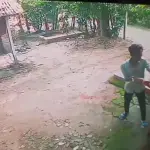 নড়াইলে বাড়ির সামনে থেকে শিক্ষিকার গলার চেইন ছিনতাই - Chief TV