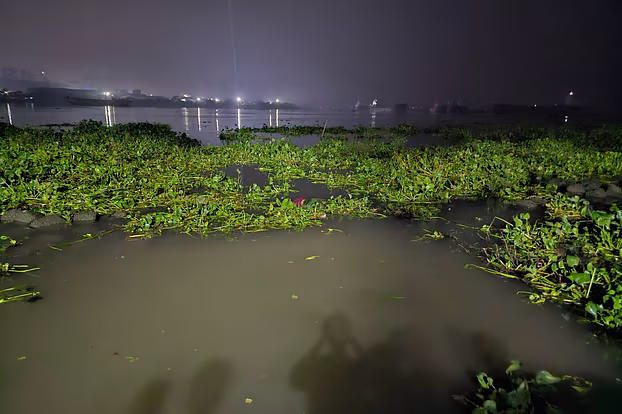ধলেশ্বরী নদীতে কচুরিপানার সঙ্গে ভাসছিল কিশোরীর মরদেহ - Chief TV