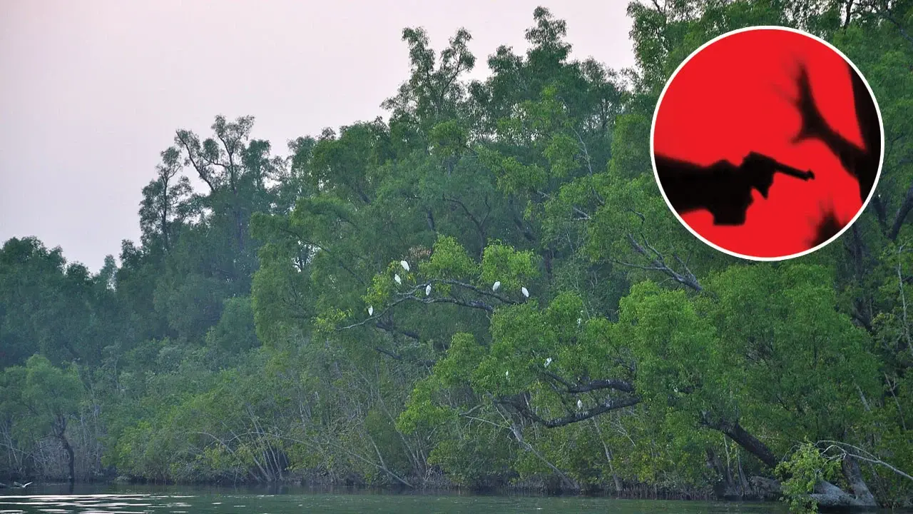 সুন্দরবন নাটক থেকে বিডিআর হত্যা : দেহরক্ষীর জবানবন্দি - Chief TV