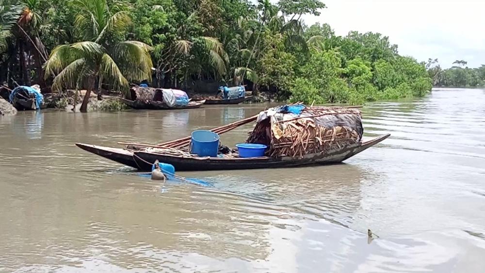 সুন্দরবনে তিন মাসের নিষেধাজ্ঞা: প্রজনন সুরক্ষায় কড়াকড়ি, সংকটে কর্মহীন বনজীবীরা - Chief TV