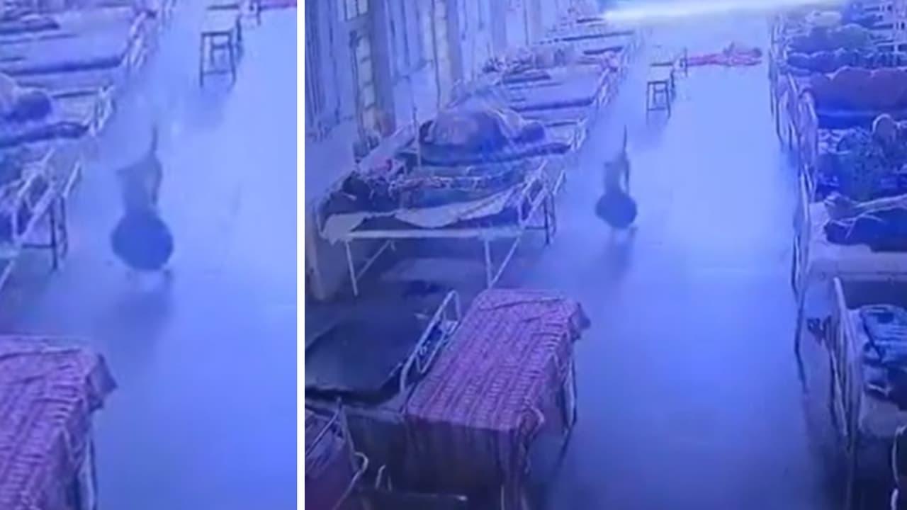 হাসপাতাল থেকে সোনার গহনা উধাও, সিসিটিভিতে ধরা পড়ল 'চোর' মানুষ নয় - Chief TV